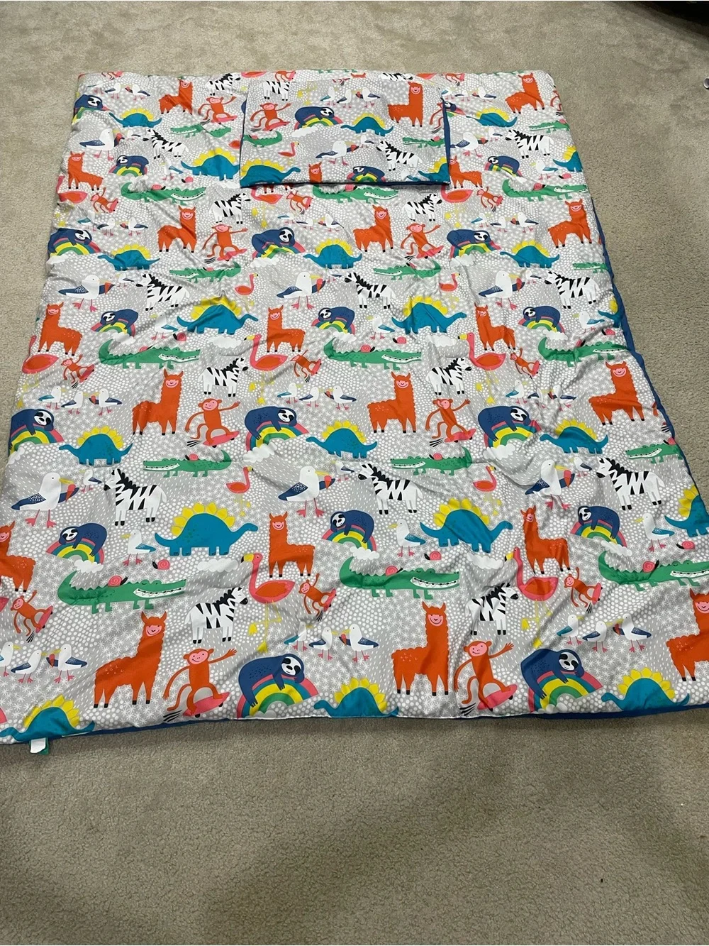 Kids Pillowfort twin comforter and pillow sham
